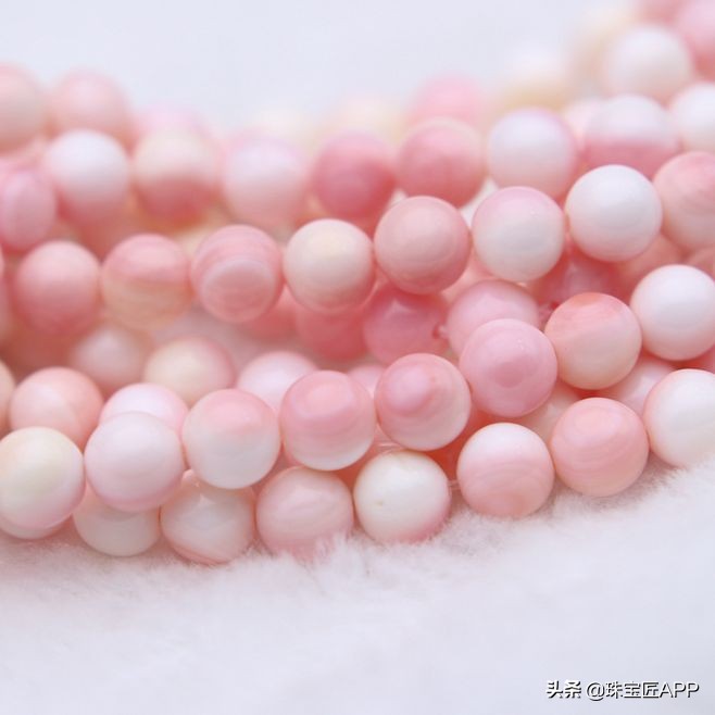 这4种能做珠宝的贝壳你都认识吗？贝壳珠宝大盘点第2弹
