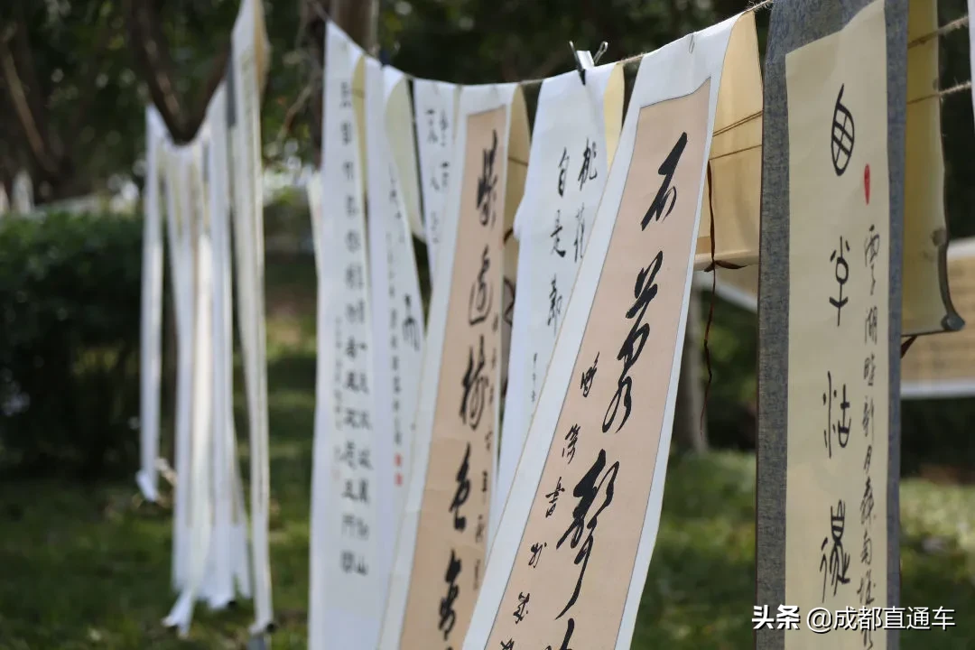 花开的季节·一起爱上文理