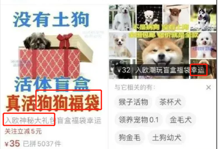 激怒4.6亿人，央视下场痛批！最“反人性”的生意，还在疯狂敛财