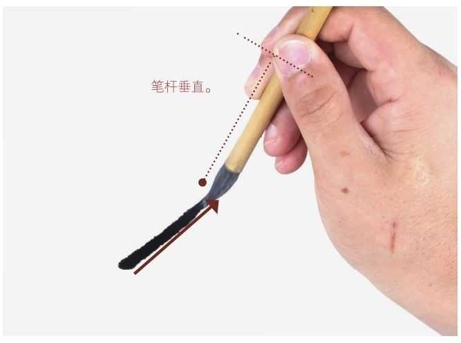 从基本运笔到作画姿势，分步骤讲解教你，适合国画爱好者学习