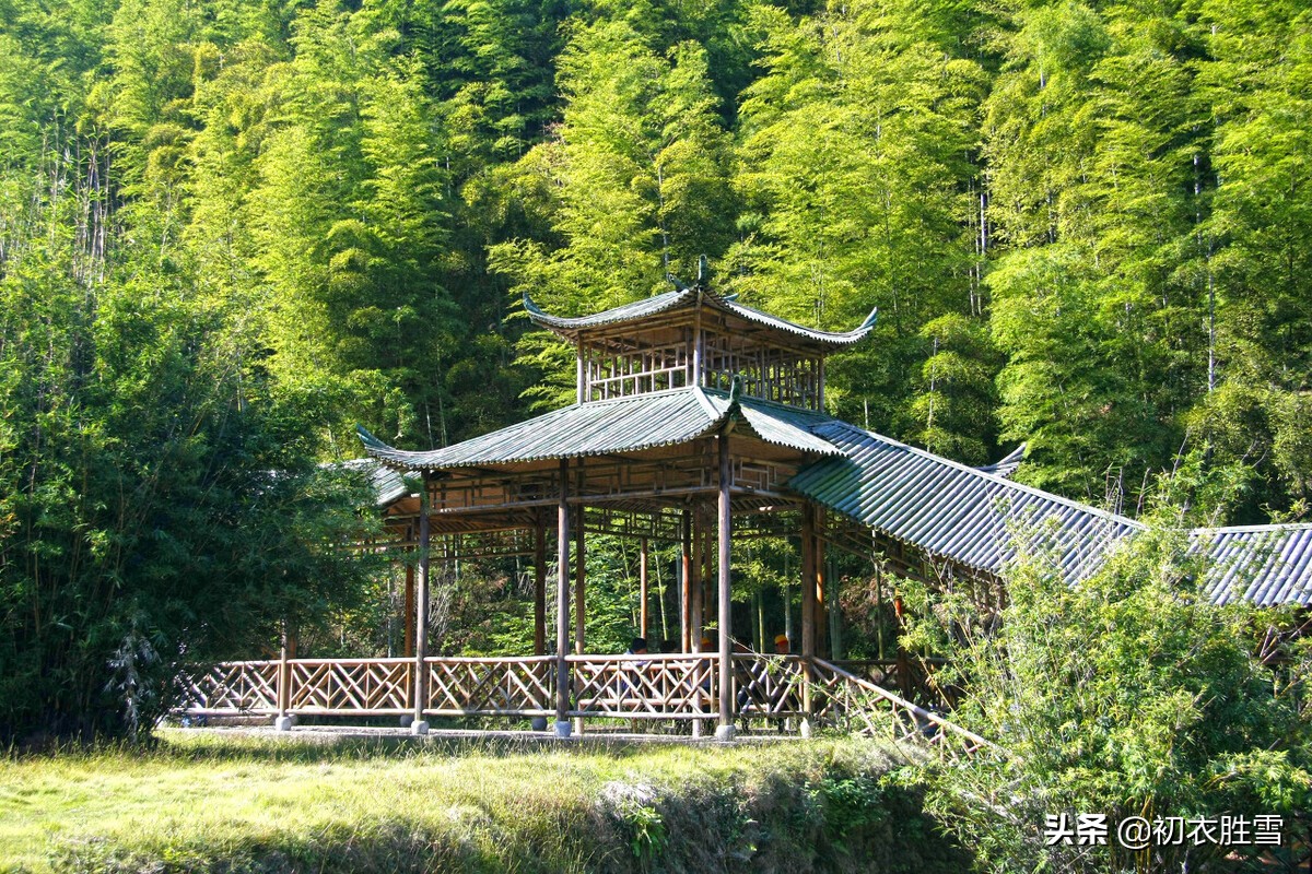 秋竹美诗七首欣赏：有节秋竹竿，苍苍劲节奇