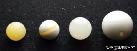 这4种能做珠宝的贝壳你都认识吗？贝壳珠宝大盘点第2弹