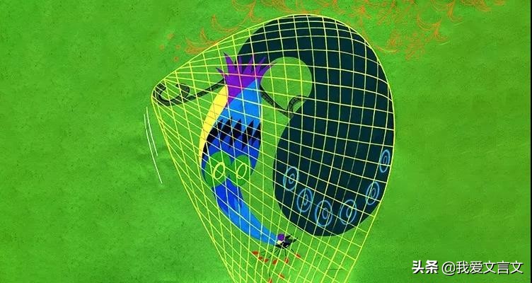 经典文言文赏析 | 南人捕孔雀