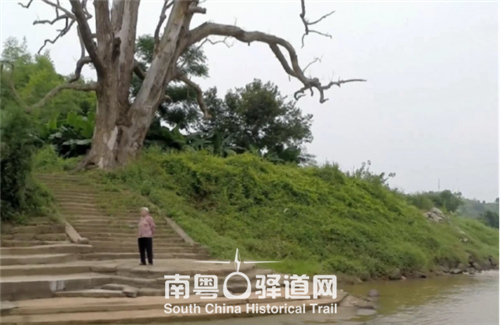 华南教育历史研学基地（坪石）设计回顾