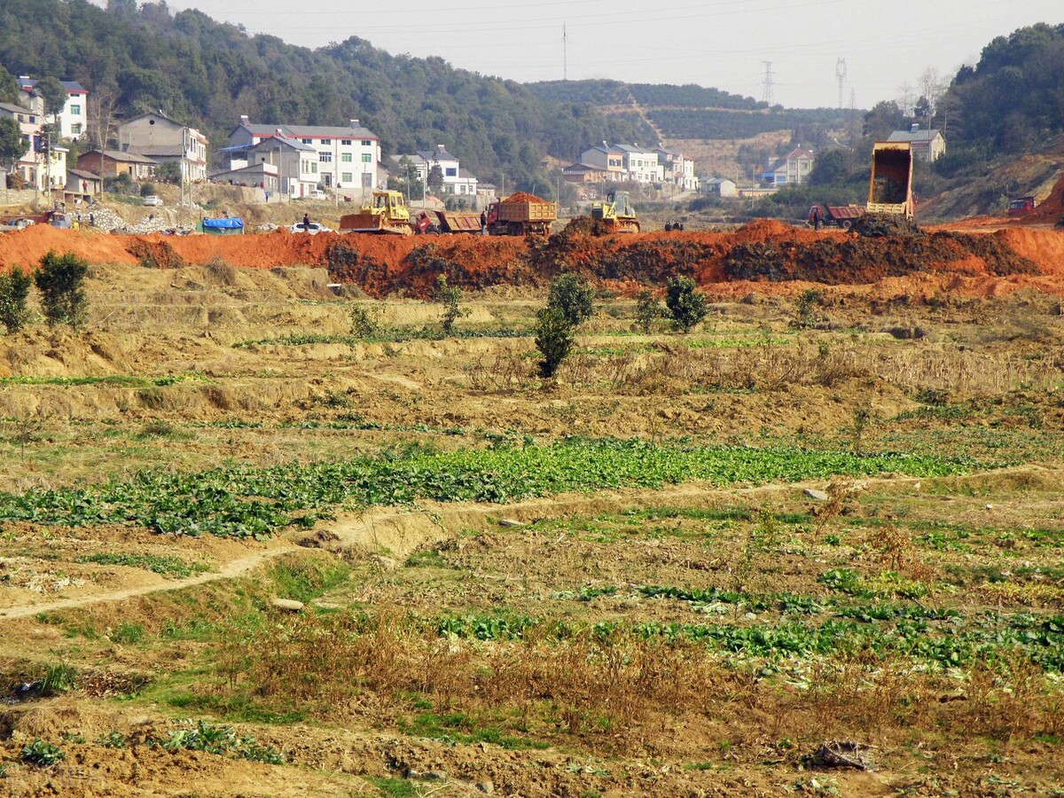 农村征地要求升级，农民被征地咋养老？河南发被养老贴金，多少钱