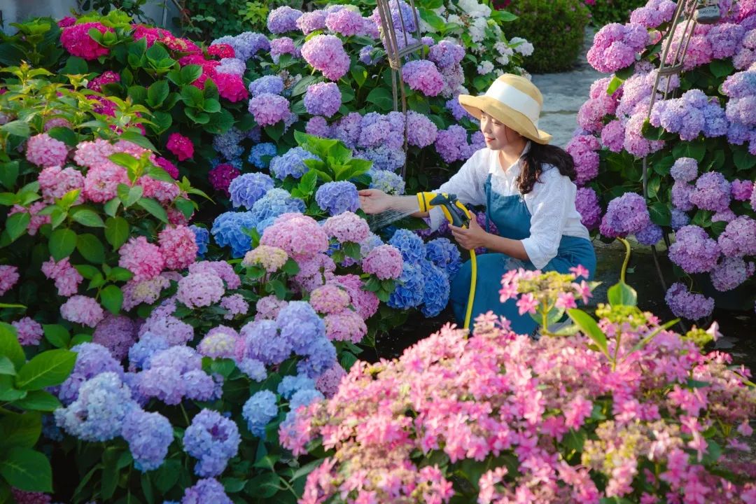海妈花园访问｜想种花没地方？重庆小学老师在学校楼顶造了座花园