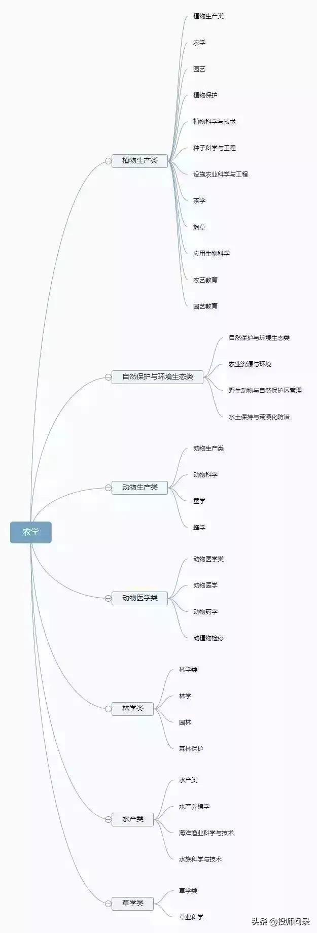 大学专业不会选？12张思维导图清晰可查