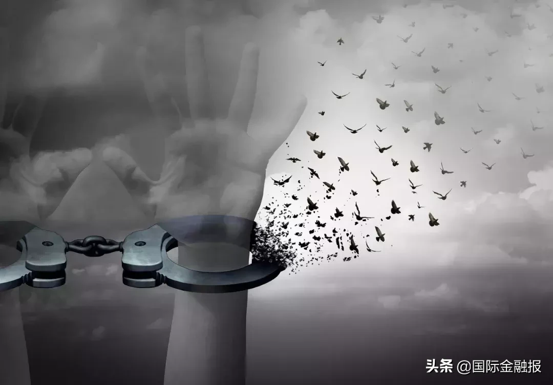 涉嫌资本抽逃，青年汽车石嘴山项目已进入强制执行阶段