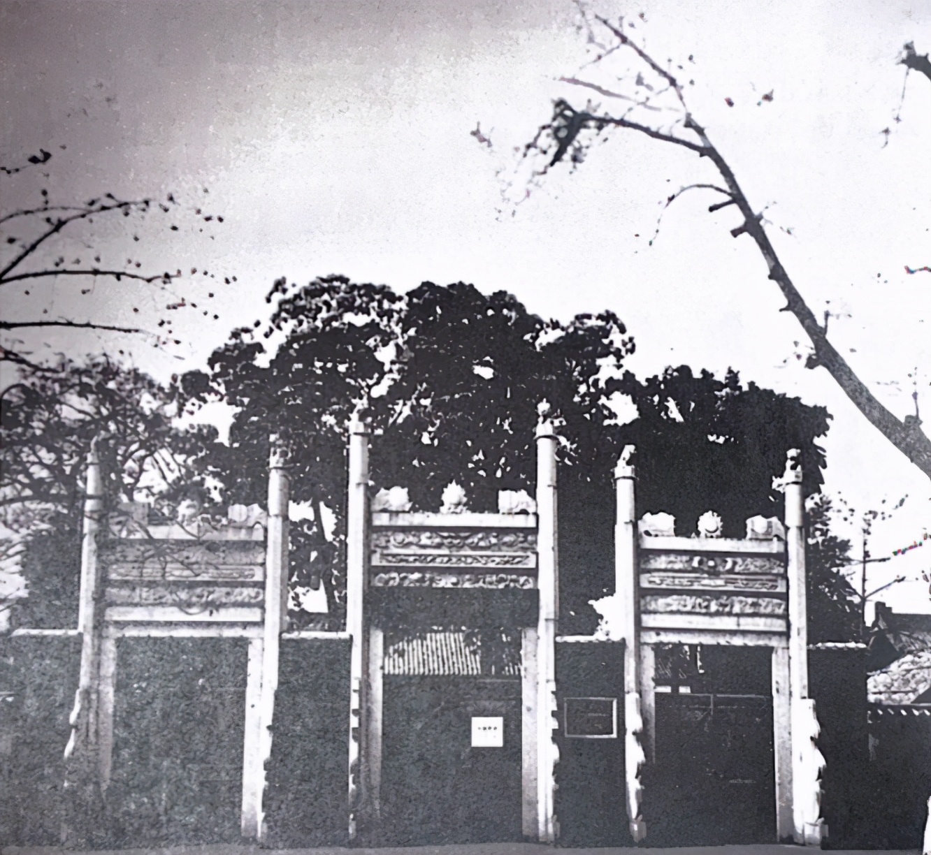 1951年一农民到乡公所讨水，看着毛主席像激动的说：他曾是我的兵
