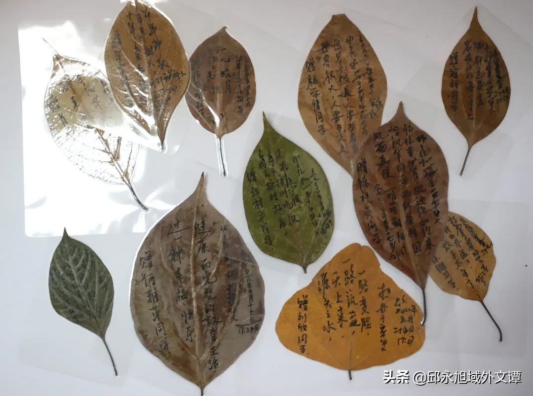 四川某高校班主任耗时2月自制357份毕业礼物，大学各有各的妖娆