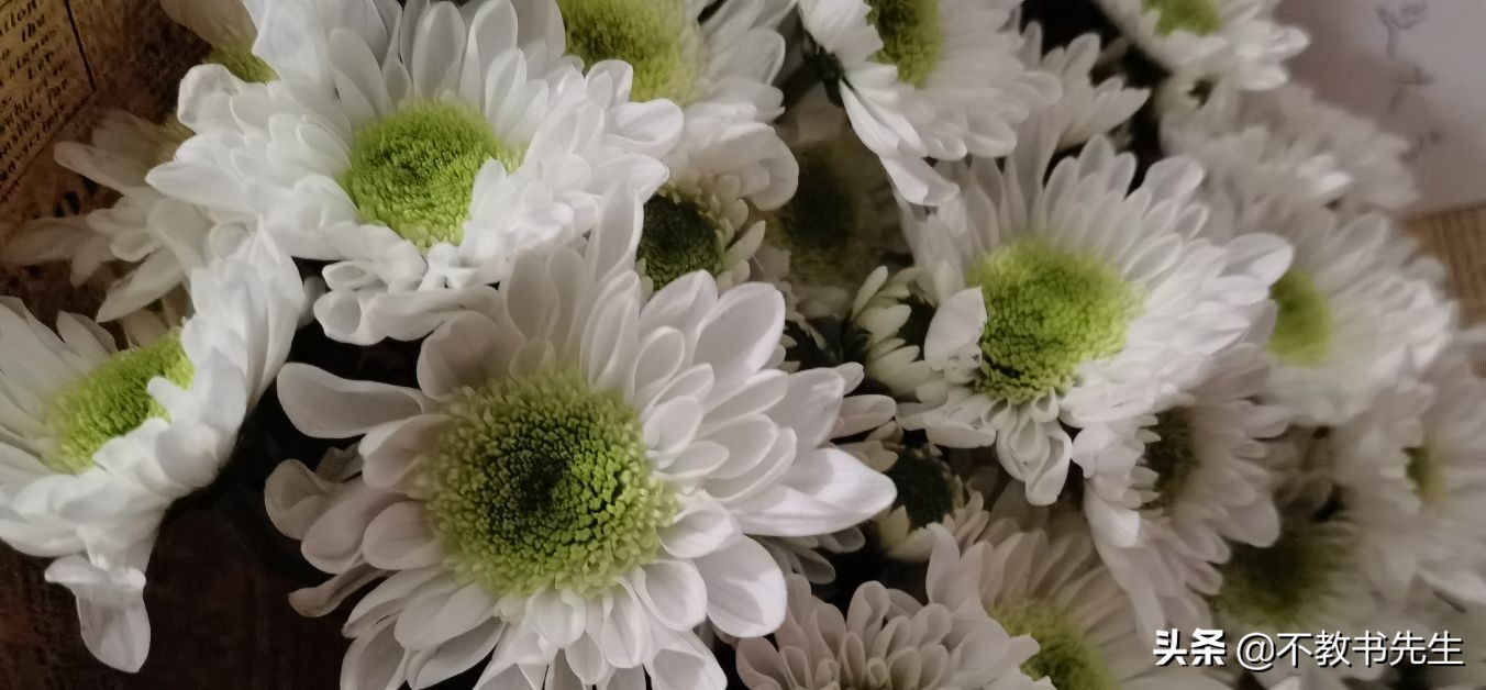 山东45所公办本科高校名单、地理位置、校区信息大全