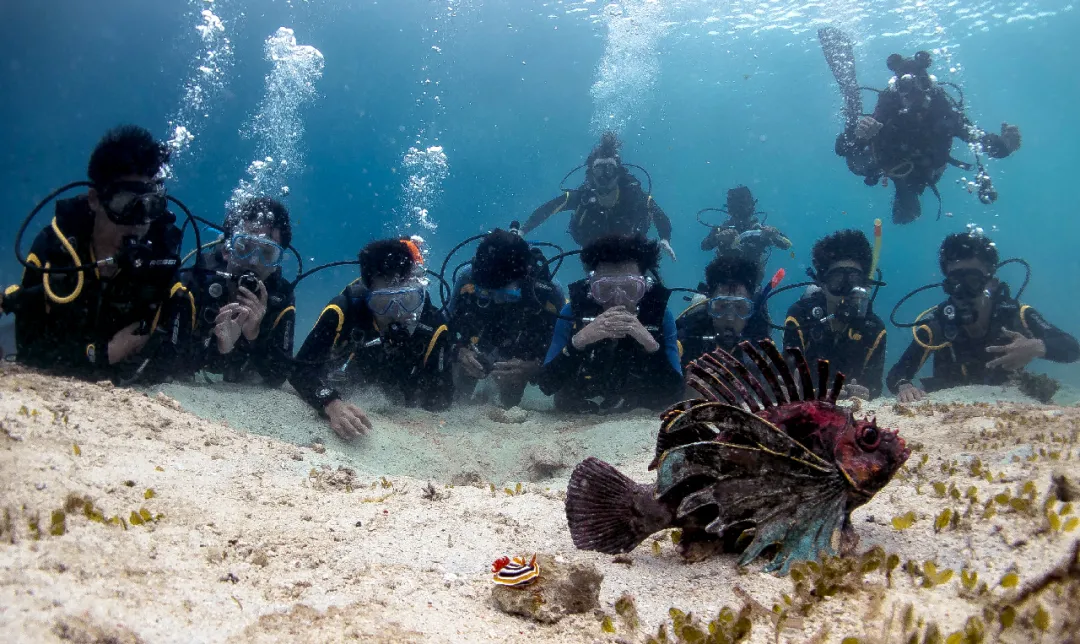 去英国私校，还是国际学校？到底哪个更适合中国孩子？