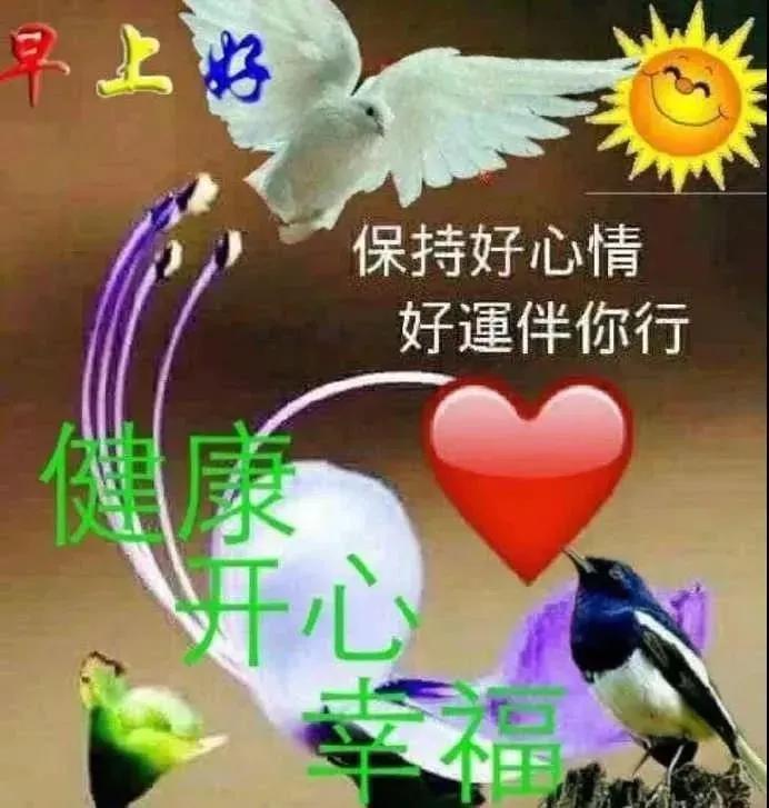 早晨好 愿我的问候给你带来快乐