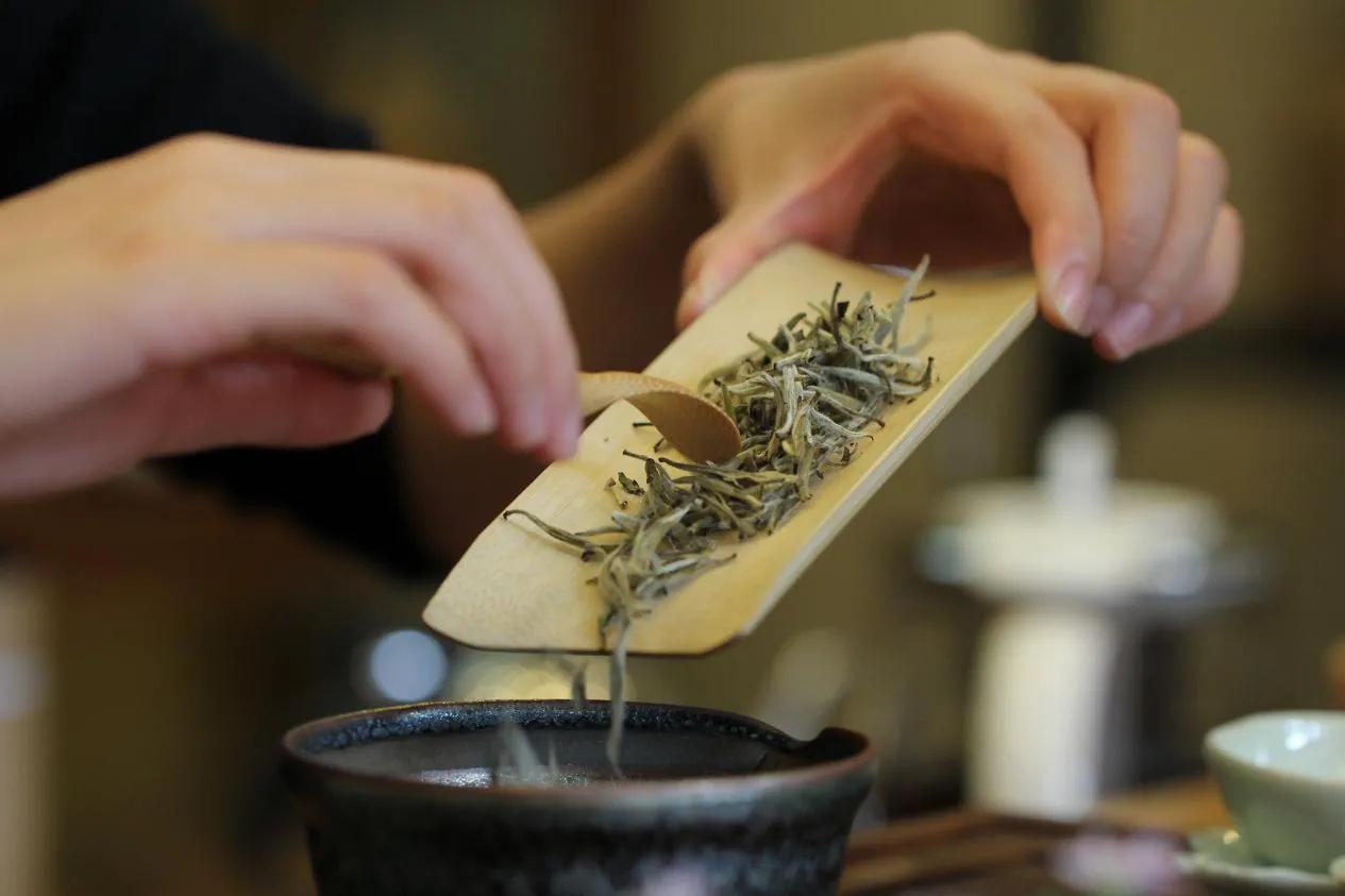 好茶葉怎么挑？跟大師學會這一招，避免買茶踩坑