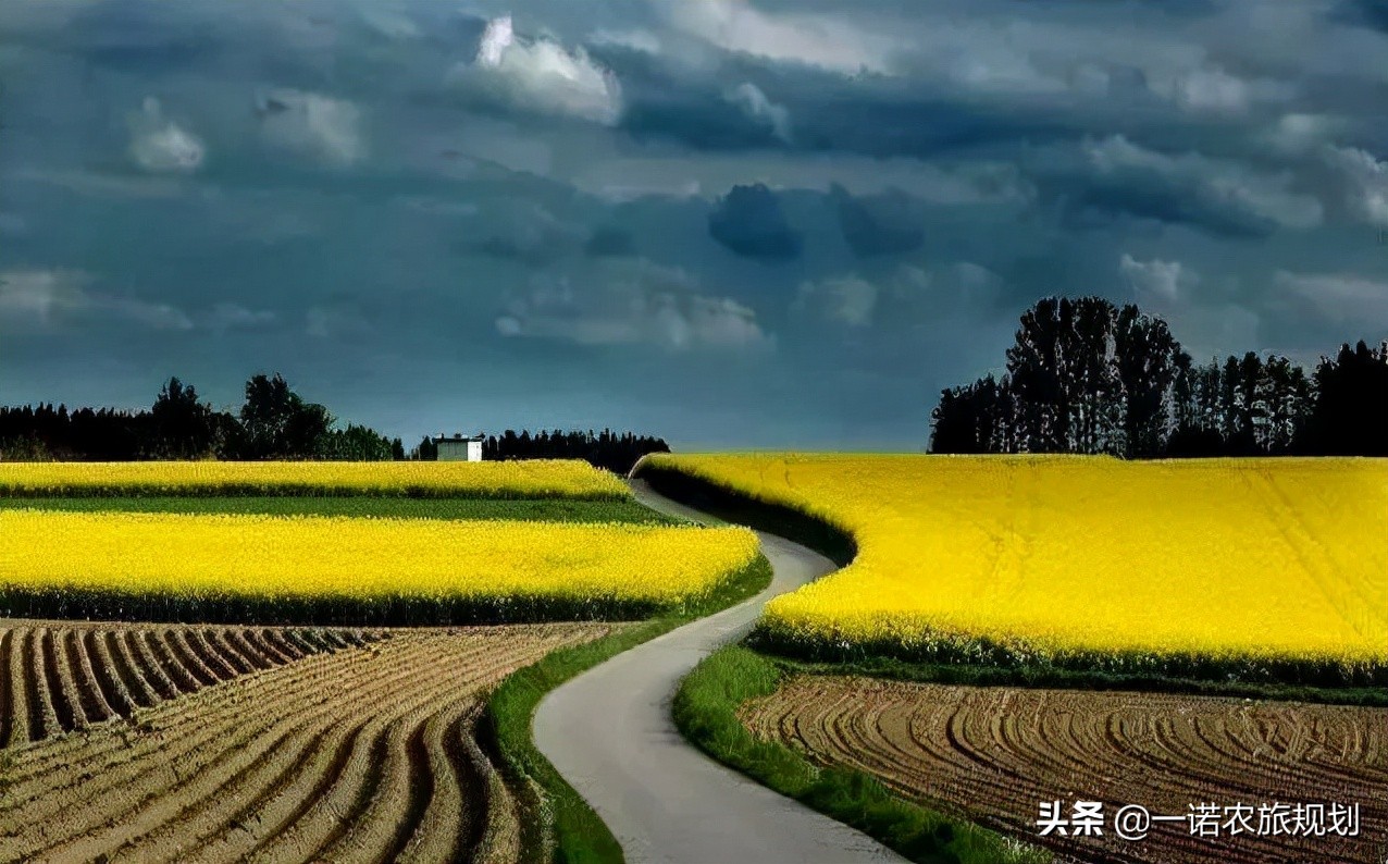 乡村振兴重点突破的23个领域