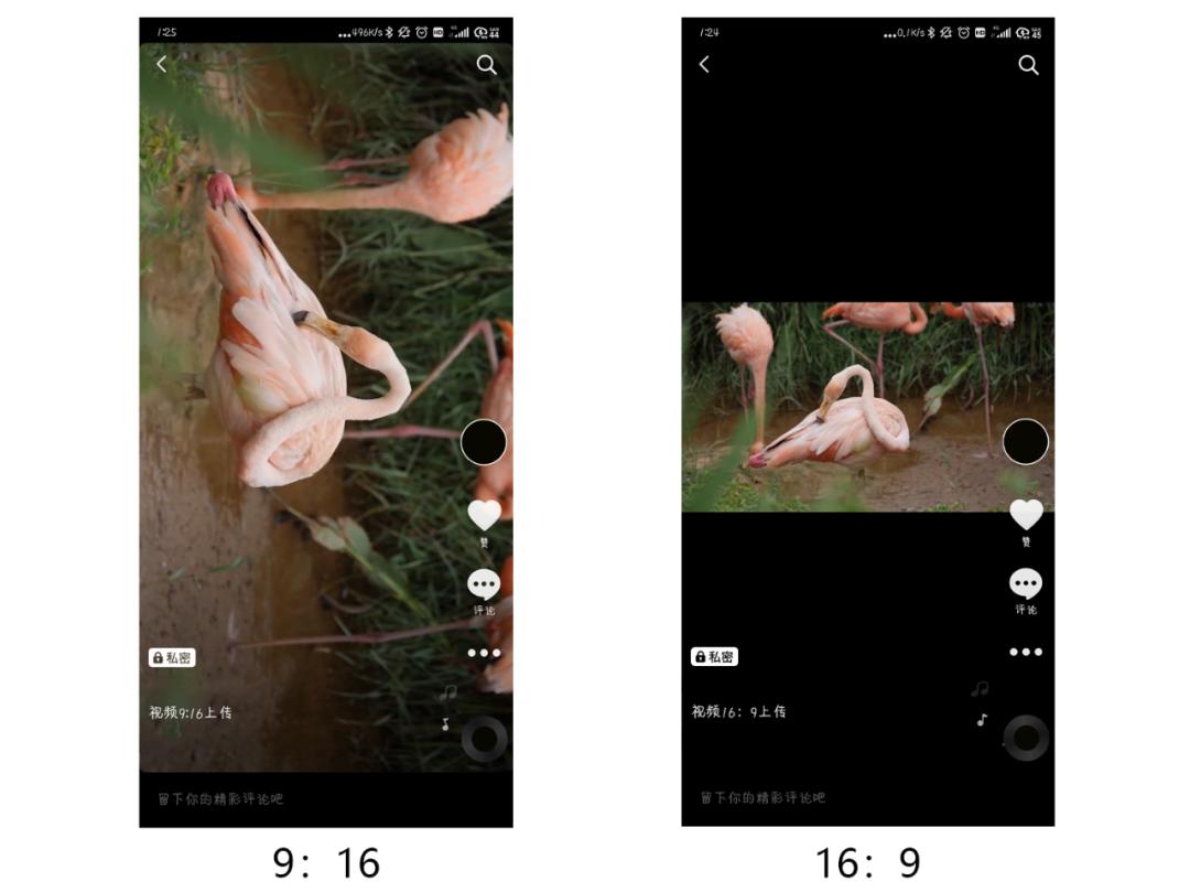 抖音视频比例（抖音是16比9还是9比16）