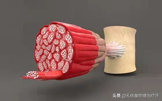 更年期女性极易遭受腱鞘炎的折磨，为什么？该如何治疗？