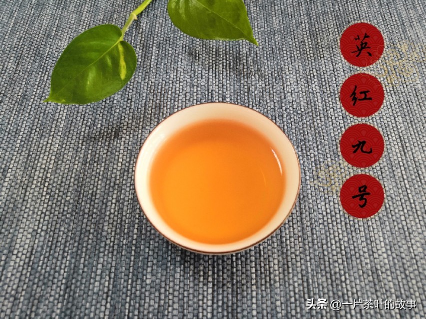 茶文化名言名句(茶文化的名言名句有哪些)