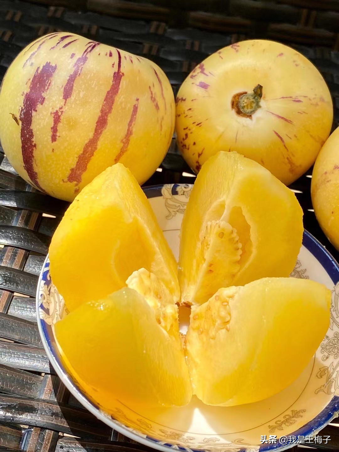 人参果,这么多年我一直错怪了你,确实越吃越喜欢