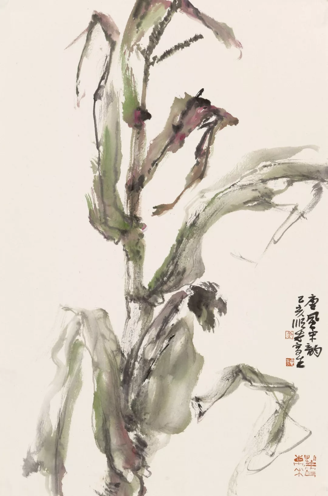 田野畅想曲 | 马顺先的玉米写生