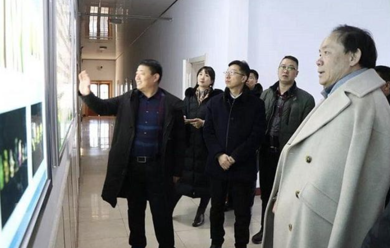 湛江出现四大富豪，个个身价破百亿，京基集团陈华排在第一