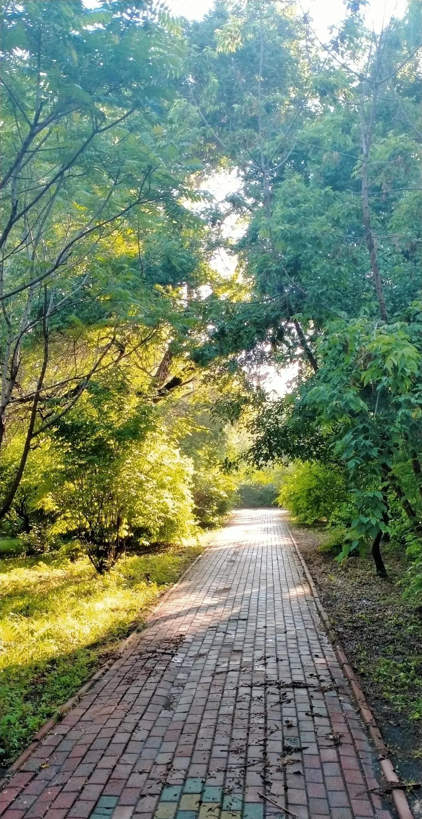 长春师范大学——竟然这么美