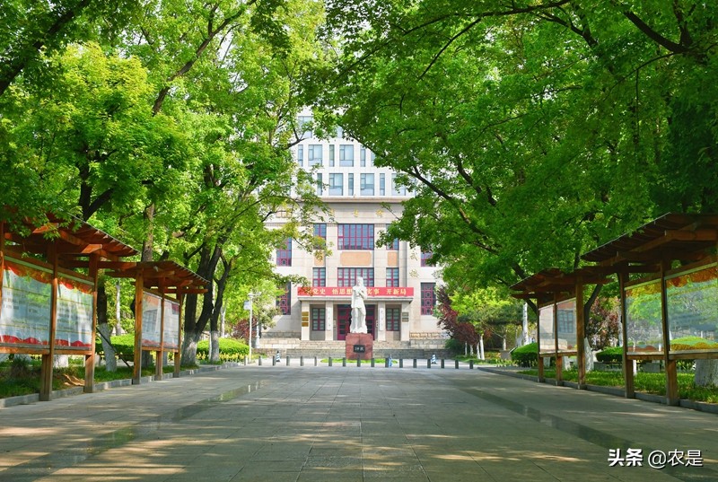 成子强，山东农业大学，教授、博导，禽病专家