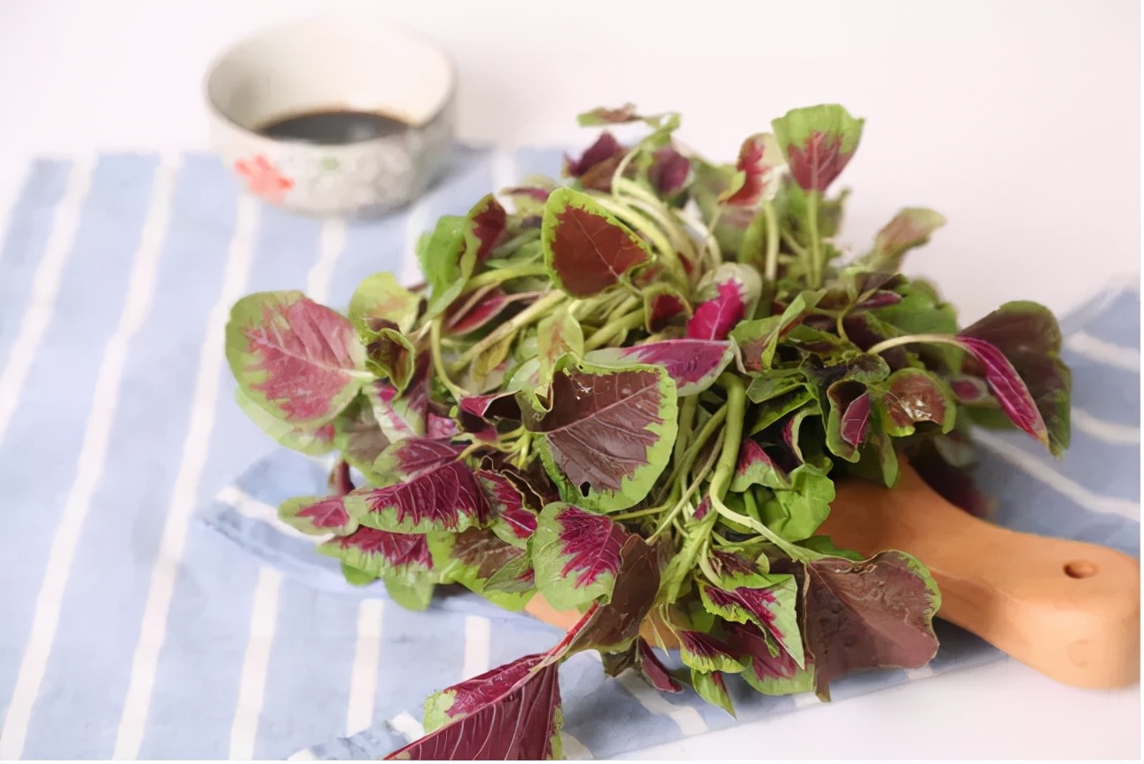 秋分|秋凉了,来盘苋菜