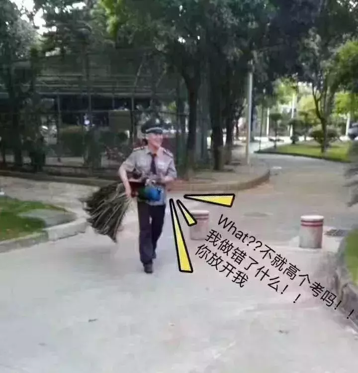 高考全省前50学霸：广州21席，深圳15席，珠海一中全省第一