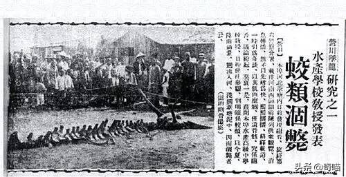 营口坠龙事件，“真龙”降世还是乌龙事件？“龙”或许真实存在过