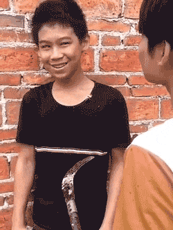 搞笑GIF:和人类呆久了，有些狗子已经不把自己当狗了