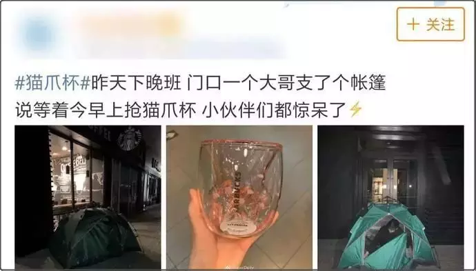 “猫爪杯”爆红背后,看星巴克是如何营销的?