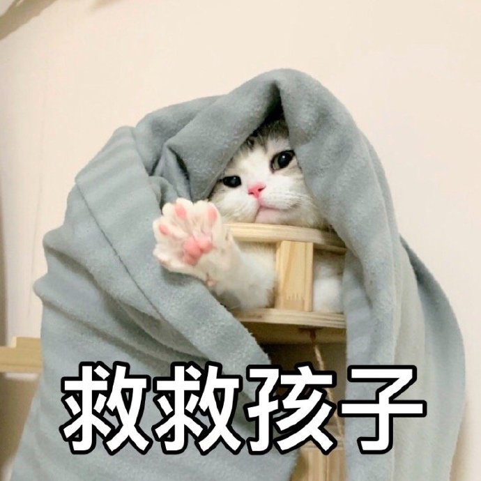 猫咪表情包合集｜大老虎嗷呜嗷呜