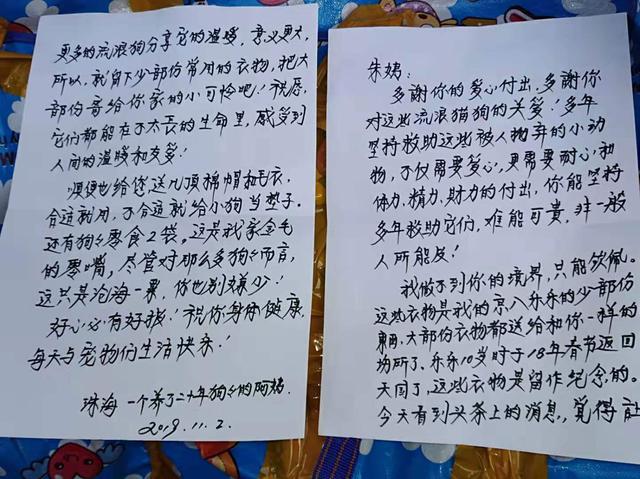 单月28次青云奖励+登顶头条宠物榜：巨小萌2019感谢有你