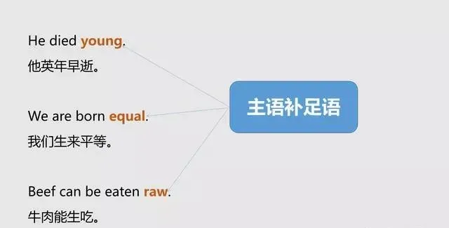 怎样分清英语中的主语、谓语、宾语、定语、状语、补语和表语？