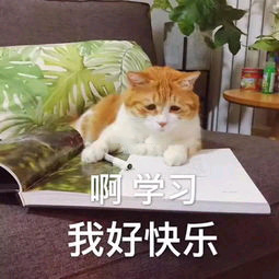 关于看书的表情包合集｜啊学习，我好快乐