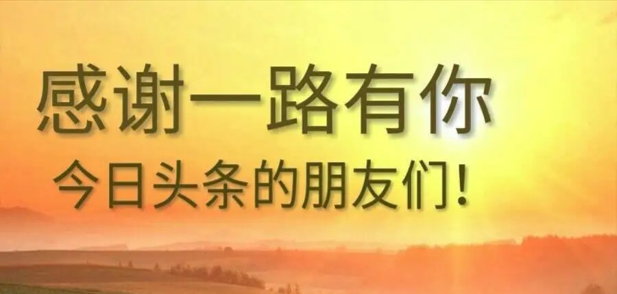 仁爱版 ▏九年级英语（下）单词表！