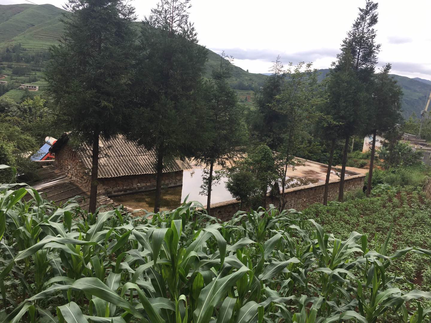 六盘水外国语实验学校2019年中考、高考喜获辉煌佳绩