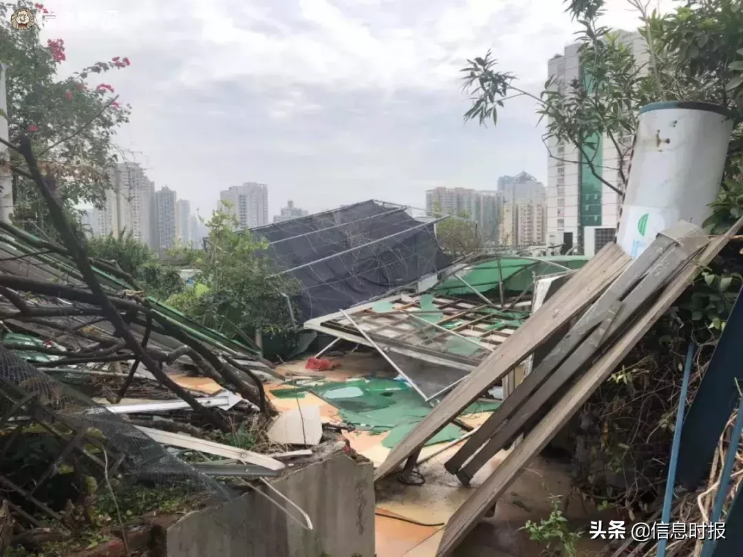 广州这些楼顶的天台，竟成了顶层住户“私家小园”，还上锁！该怎么办？