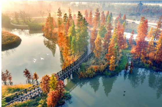宁波赏秋，这三个地方堪称大自然的调色盘，宛若童话仙境