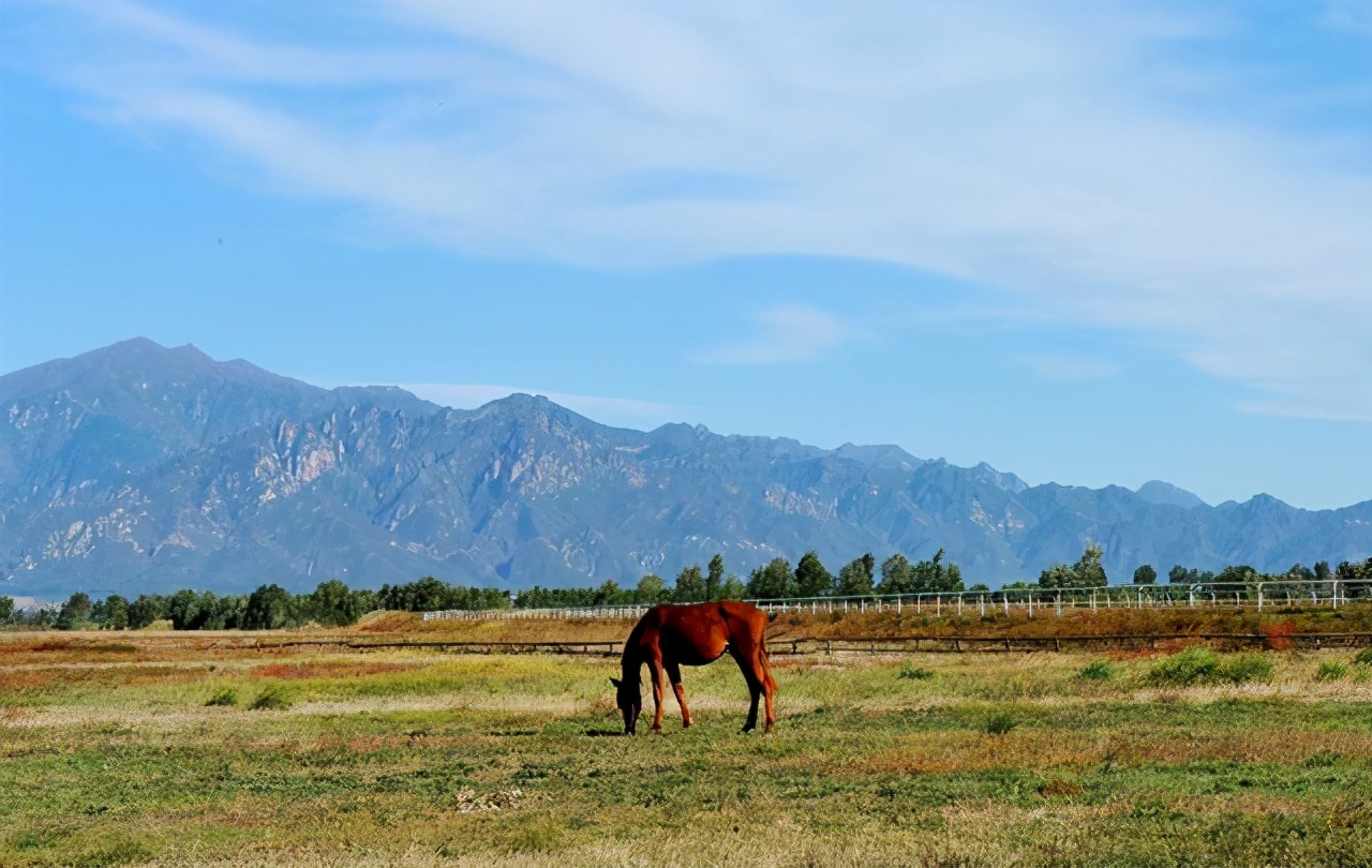 北京也有“草原”，还是在市区里，内蒙古游客看了都说漂亮