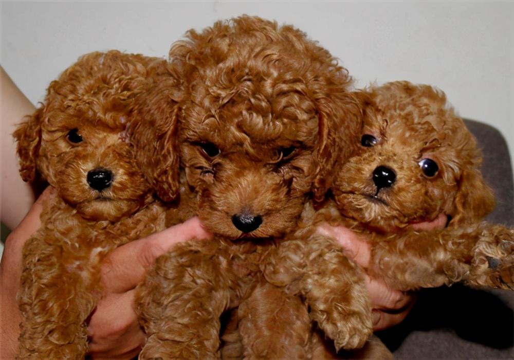 只不过是因为这些而已