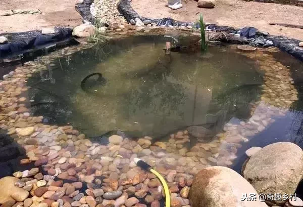 院子里应该有个小池塘，没有就自己动手挖个！（附实际操作图）