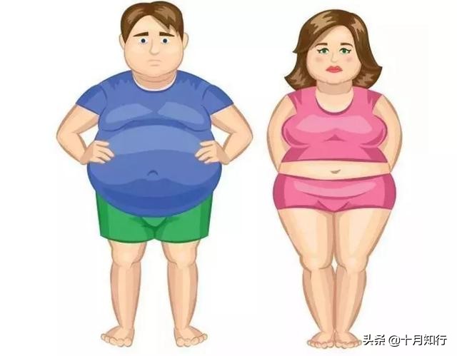 想要减掉大肚腩，缩小腰围，做好三件事，然后考虑腹部训练