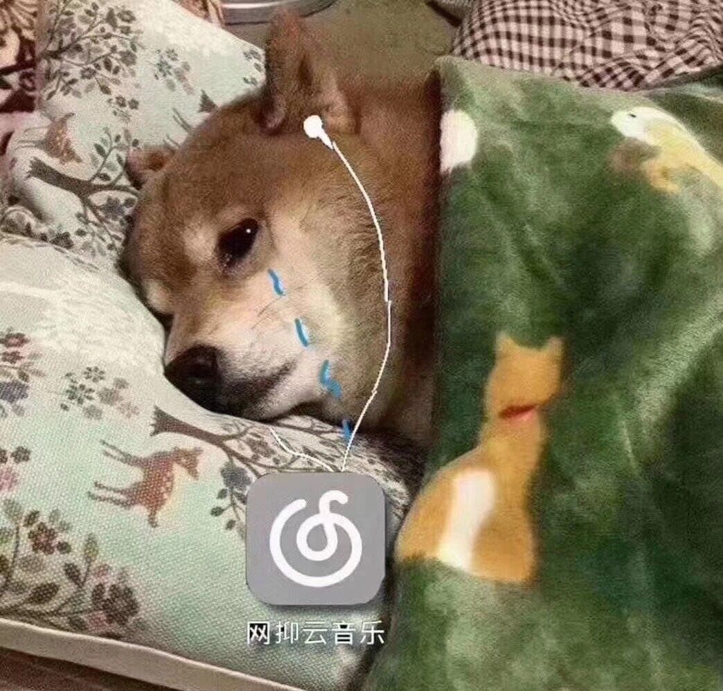 生而为人,雷霆嘎巴,从网易云到网"抑"云