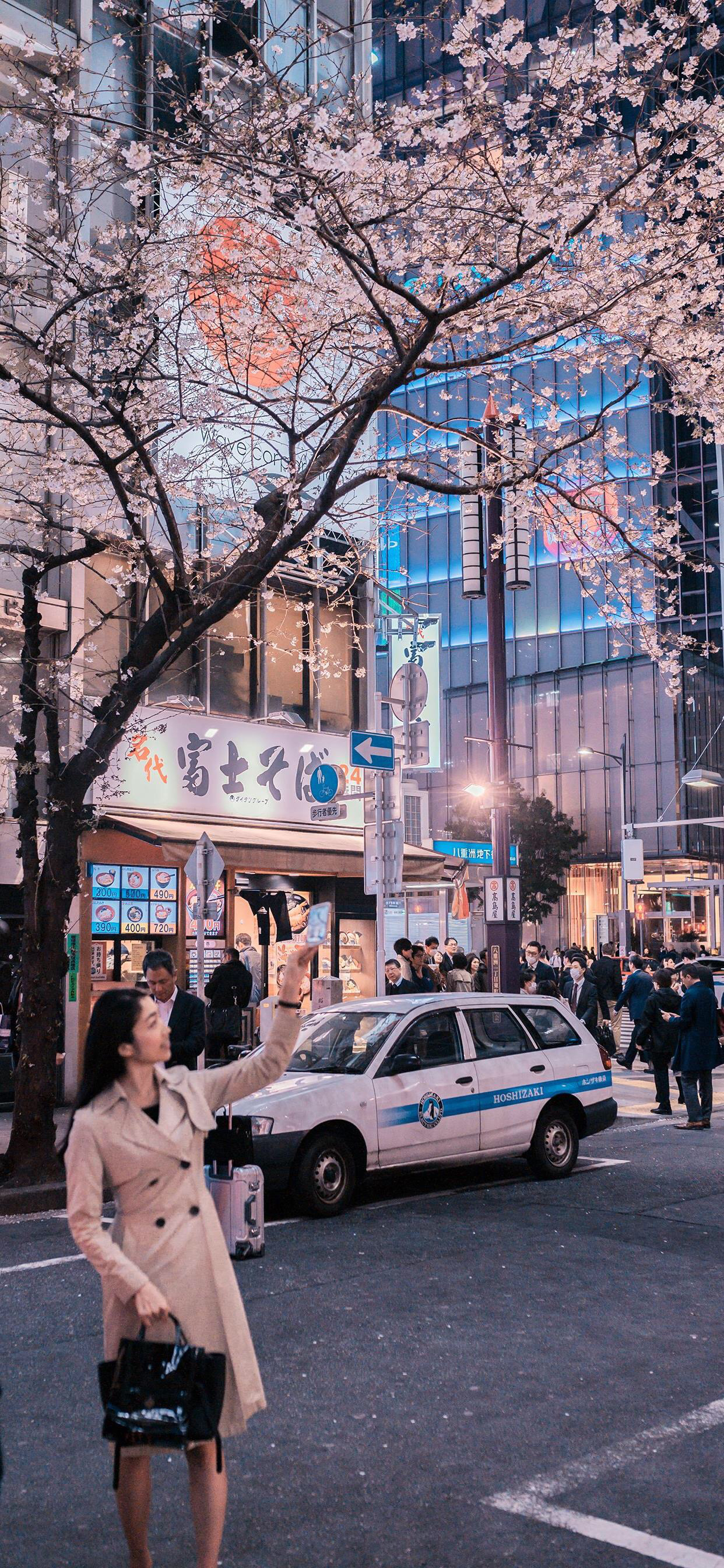 城市壁纸丨不同的晨光熹微与晚霞红日，我们的城市依然好看