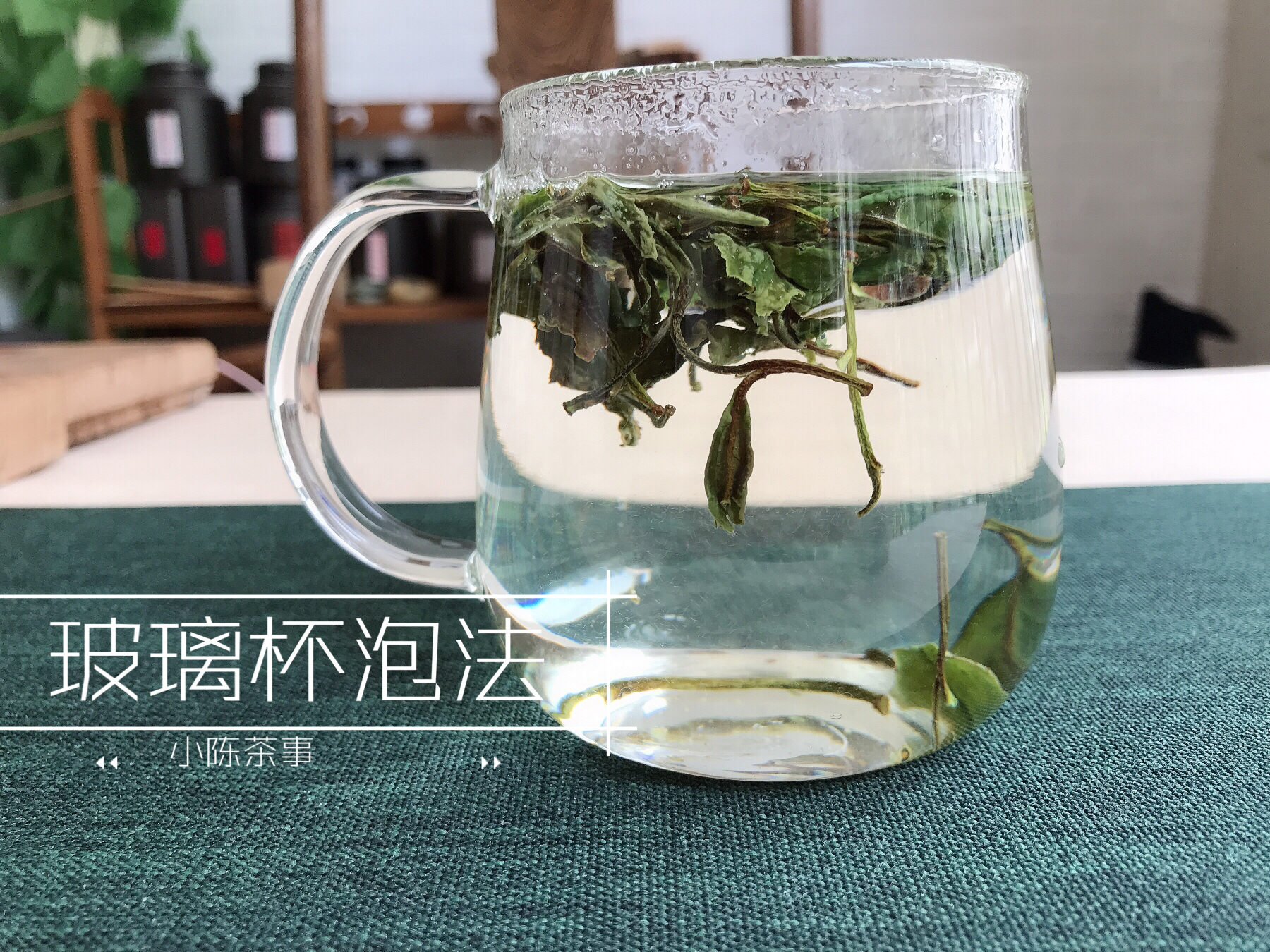 玻璃杯和飘逸杯，谁才是办公室里，最合适的喝白茶工具？