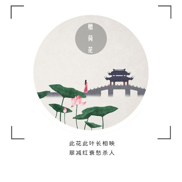 诗词中最常见的两种颜色，读懂了这两种颜色，读诗词就便不再难了
