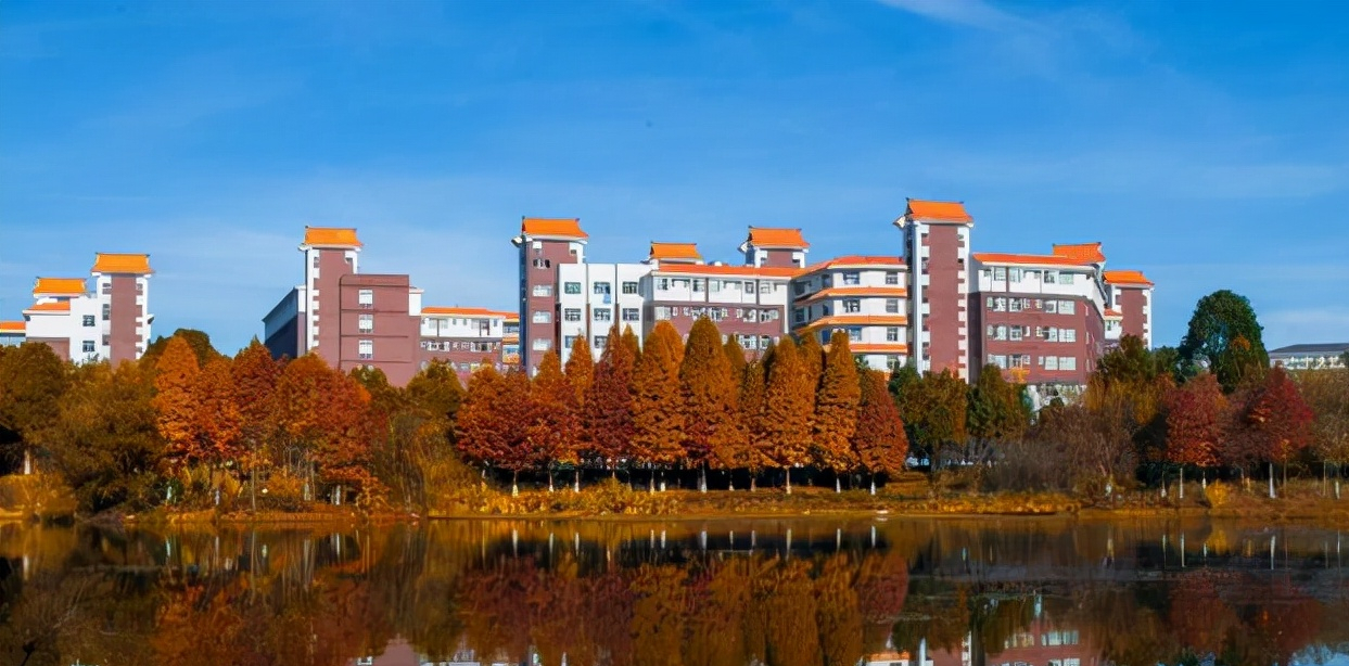 错过“科技进步一等奖”！昆明理工大学跻身“双一流”还有戏吗？