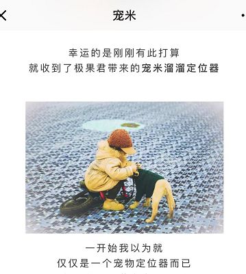 网红斜对面的老阳检测一次收一万，软文代理审核才发，卖猫狗粮